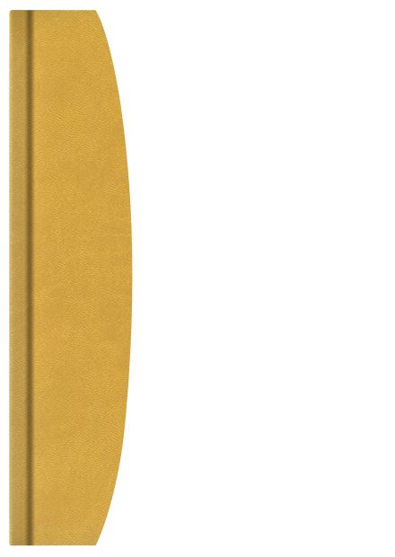 Turyn - żółty