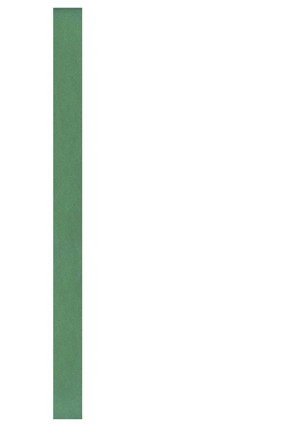 Turyn - zielony